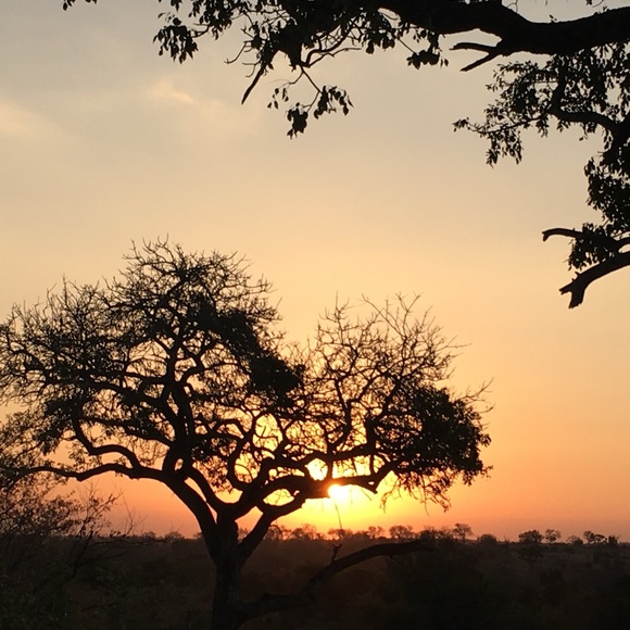 Meet your Posher, Miriana - Picture 8 of 8